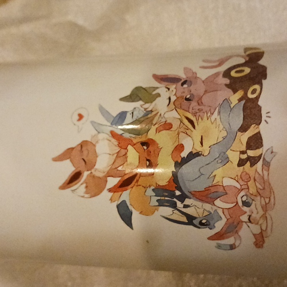 NIB 16oz White Aluminum Water Bottle with Pokemon Eevees